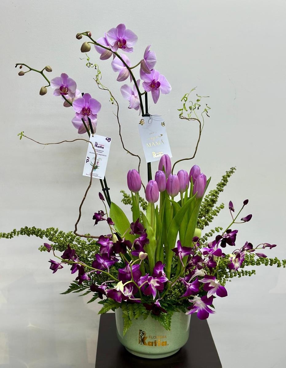 Tulipanes 05