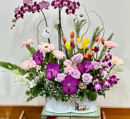 arreglo-floral-exclusivo-orquideas-phalaenopsis-vanda-tulipanes-gerberas-floreria-katia-tapachula
