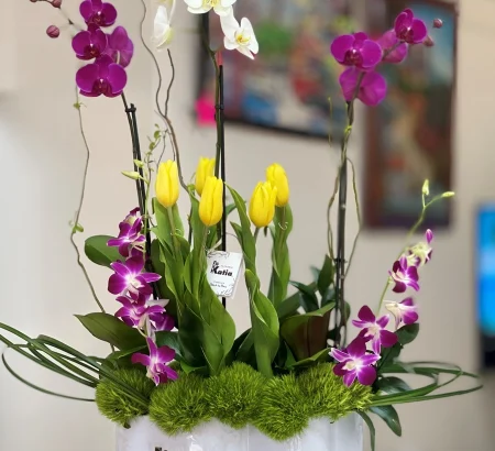 arreglo-floral-exclusivo-orquideas-phalaenopsis-purpura-blanca-tulipanes-amarillos-dendrobium-floreria-katia-tapachula