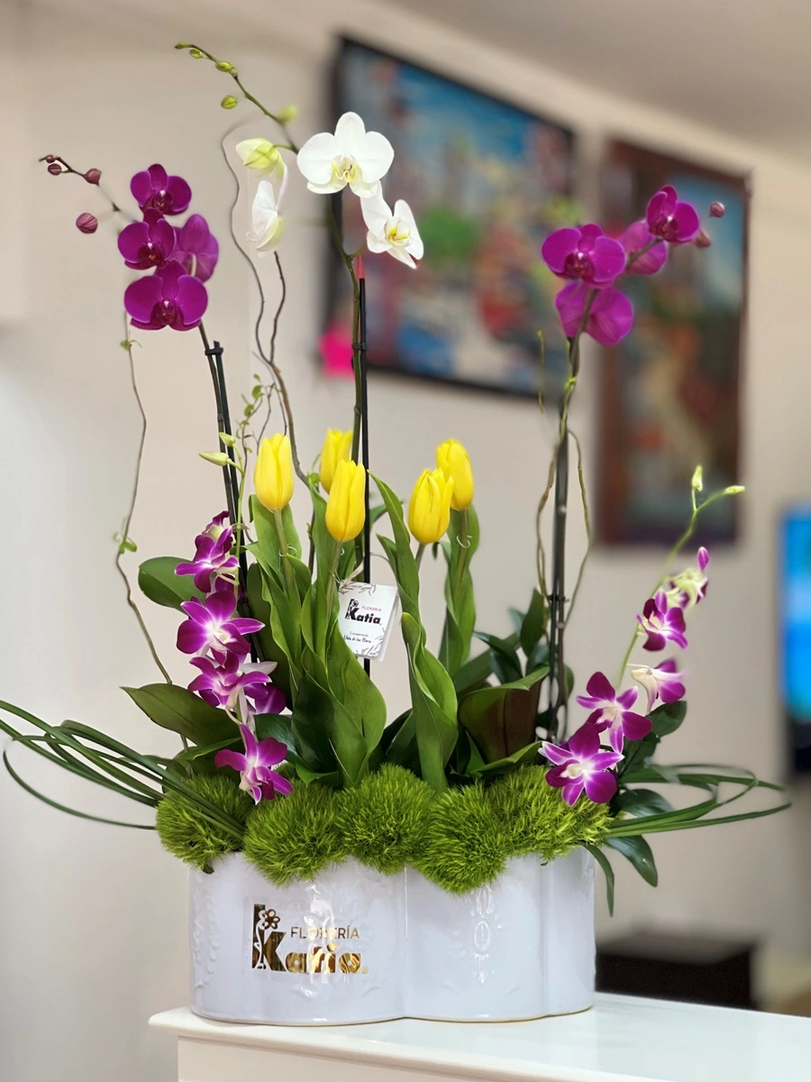 arreglo-floral-exclusivo-orquideas-phalaenopsis-purpura-blanca-tulipanes-amarillos-dendrobium-floreria-katia-tapachula