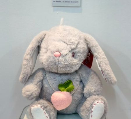 peluche-conejito-gris-orejas-caidas-colgante-fresa-rosa-floreria-katia-tapachula