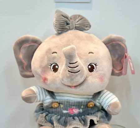 peluche-elefantita-tierna-overol-gris-terciopelo-mono-corazones-floreria-katia-tapachula