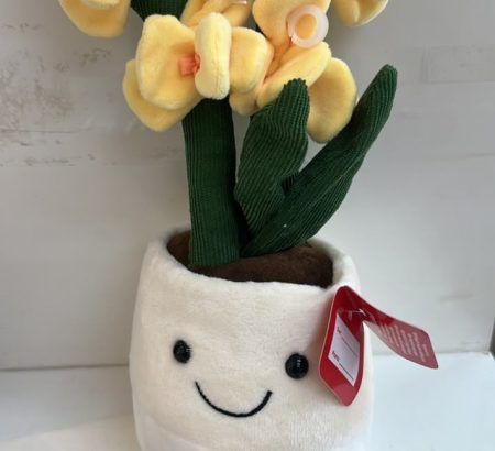peluche-mini-orquidea-amarilla-maceta-sonriente-patitas-colgantes-floreria-katia-tapachula