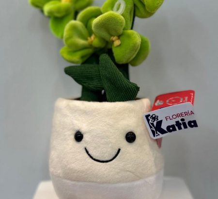 peluche-mini-orquidea-verde-maceta-sonriente-patitas-colgantes-floreria-katia-tapachula