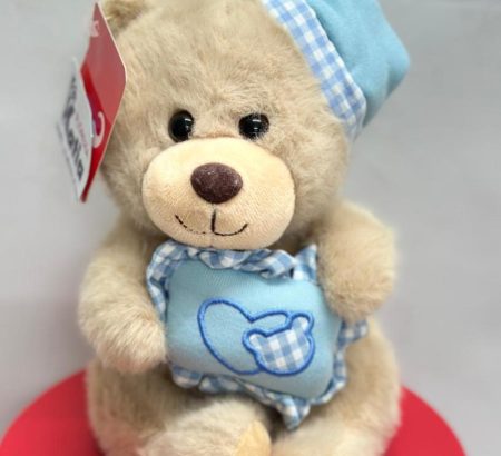 peluche-osito-beige-dormilon-gorrito-cojin-corazon-celeste-cuadros-floreria-katia-tapachula
