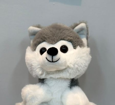 peluche-perrito-husky-siberiano-bicolor-gris-blanco-ojos-brillantes-floreria-katia-tapachula