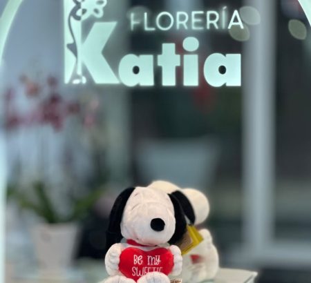 peluche-snoopy-romantico-corazon-rojo-be-my-sweetie-floreria-katia-tapachula
