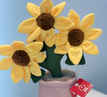 peluche-maceta-rosa-trio-girasoles-sonrientes-caritas-felices-floreria-katia-tapachula