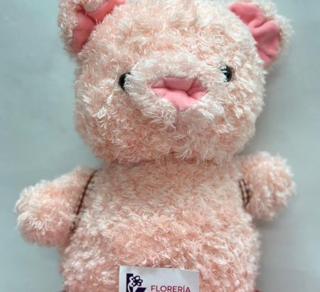 peluche-cerdito-rosado-texturizado-hocico-pronunciado-orejitas-rosas-floreria-katia-tapachula